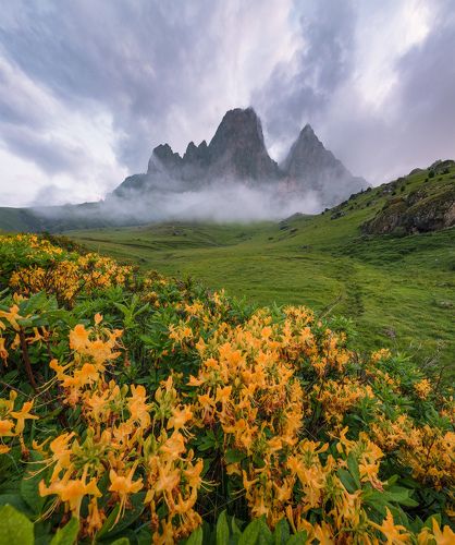Цей-Лоам. История одного утра.