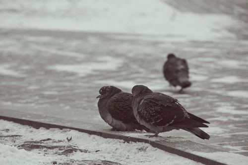 третий должен уйти...