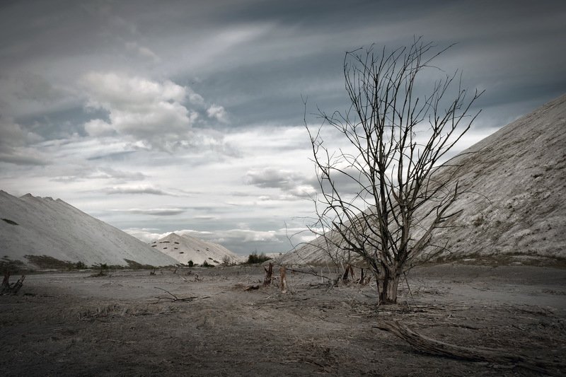 беларусь, гомель, горы, экология Dead nature(I) фото превью