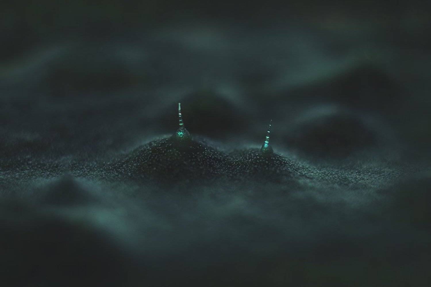 , Фролова Евгения