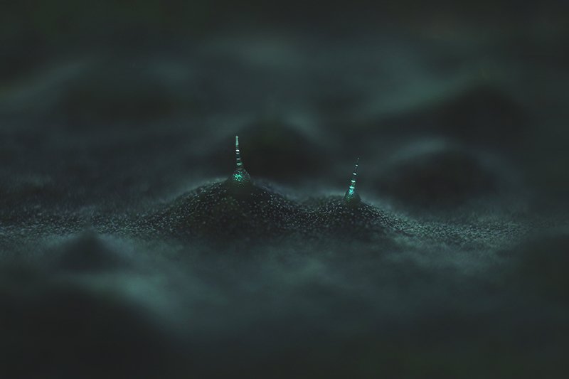 Огурец фото превью