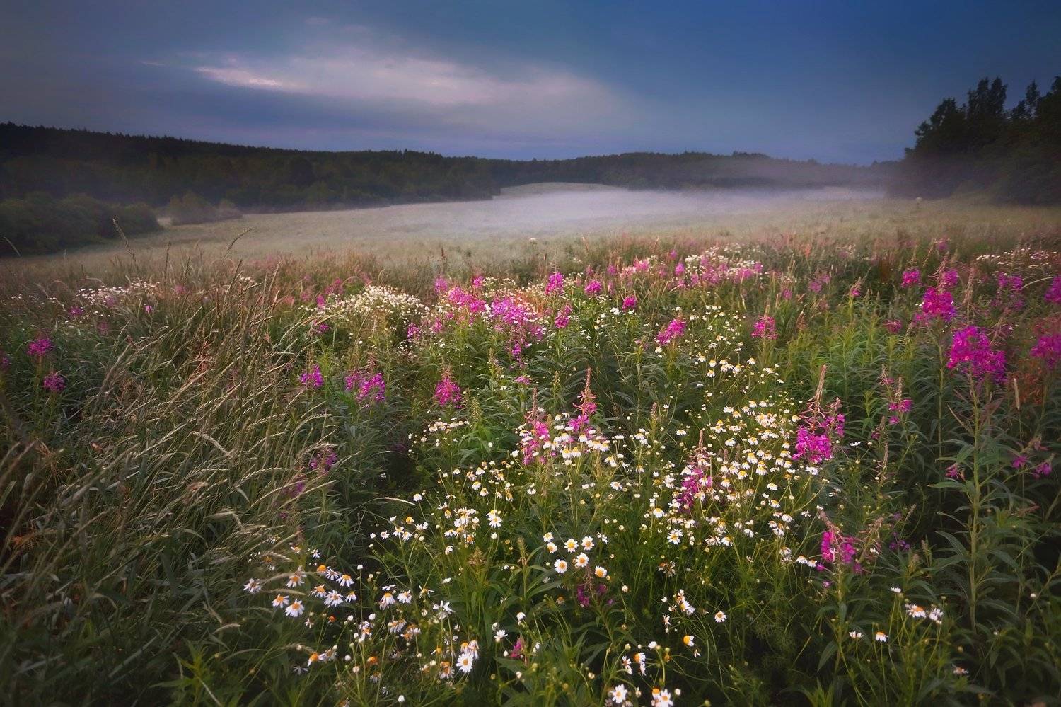 ленобласть, карельскийперешеек, пейзаж, Таня SHE (Aiya)