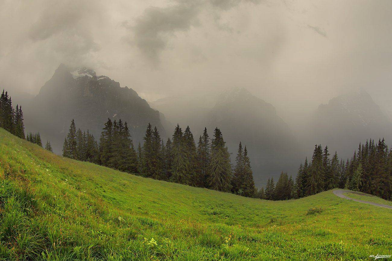swiss, Матвеев Николай