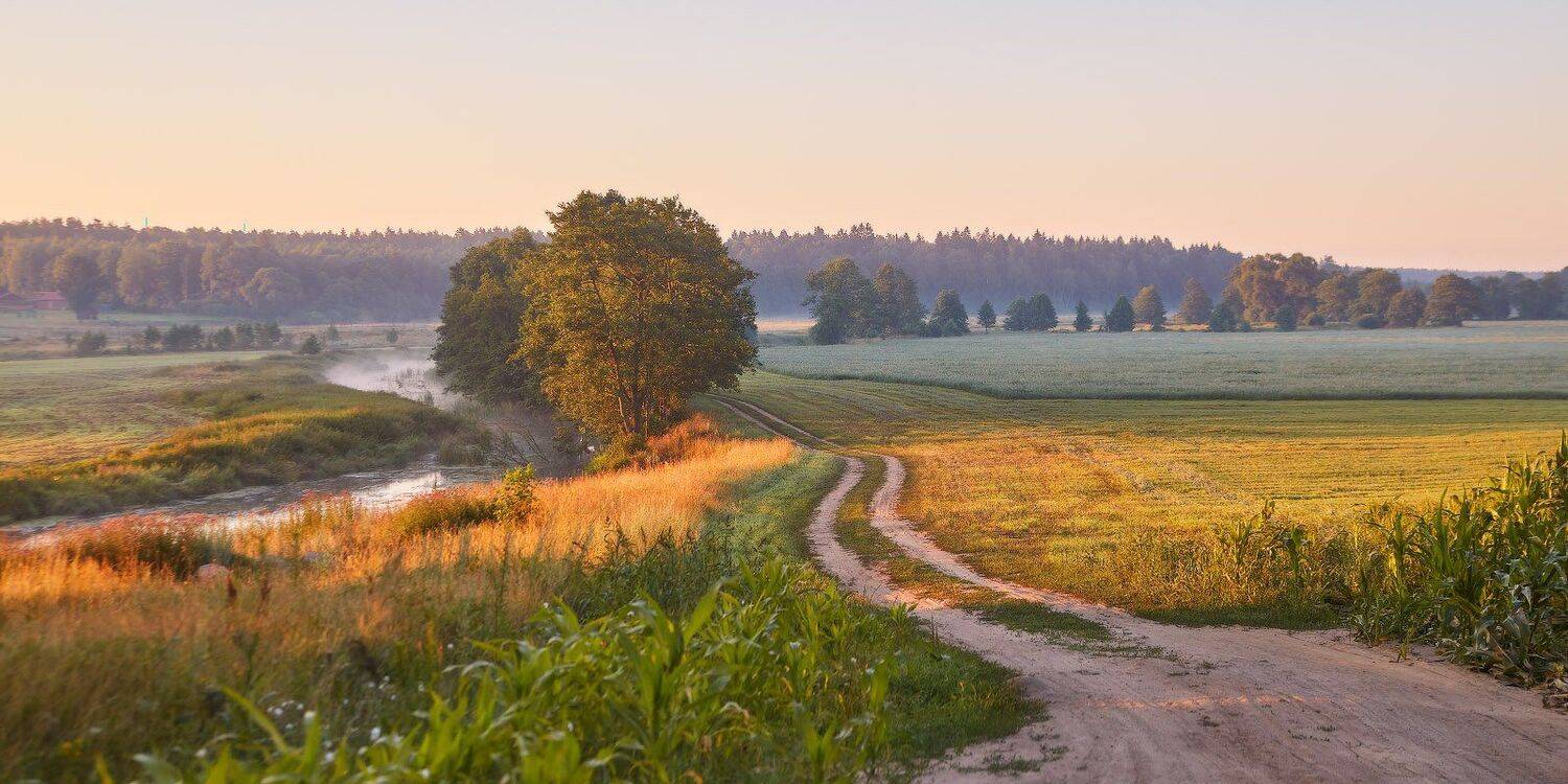 беларусь, дорога, лето, рассвет, река, уса, утро, Вейзе Максим