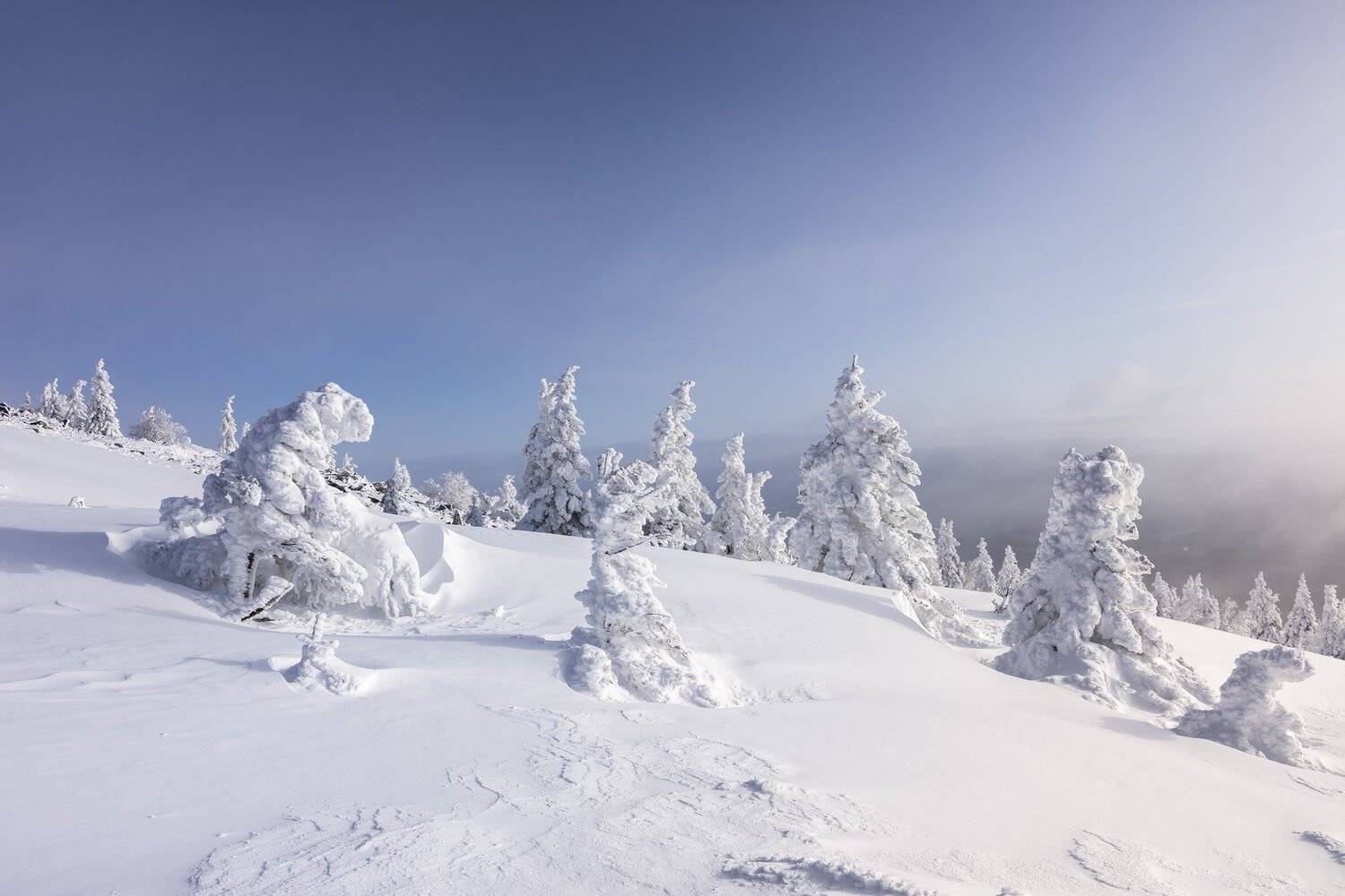 , Андрей Шарапов