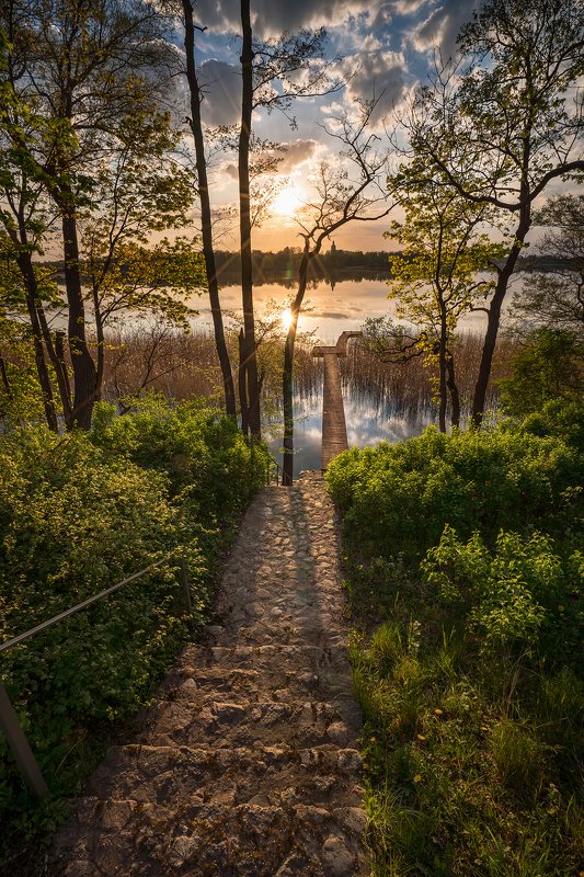 sunset over the lake sun water green trees sunlight mirror dranikowski stairs bridge poland sony clouds Sunset over the lake фото превью