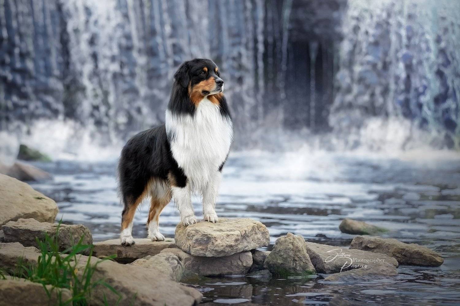 , Светлана Писарева