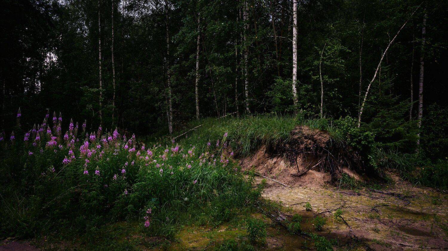 , Игорь Приданников