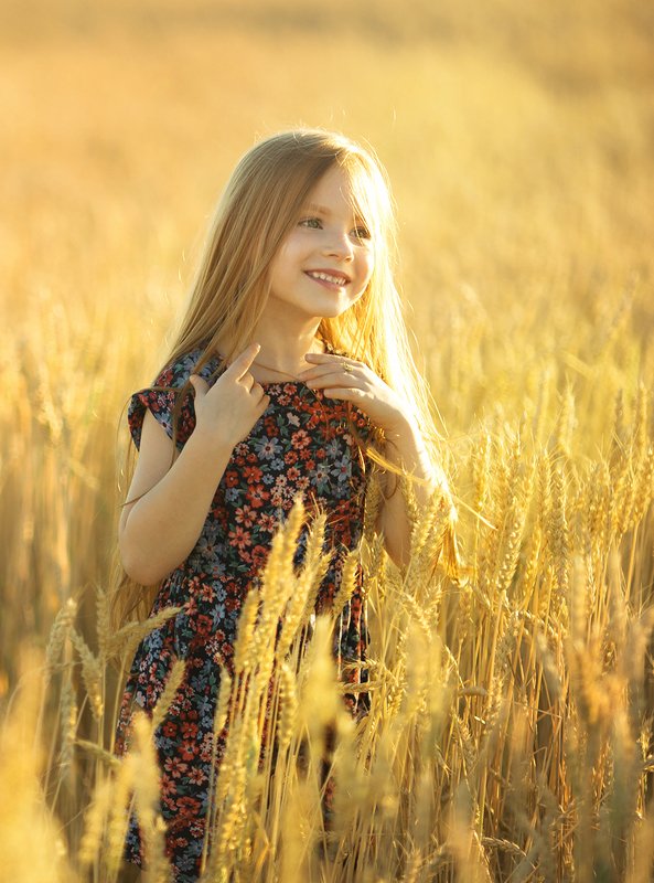 дети, девочка, детский портрет, детский фотограф, детская фотография, топ фотограф, семейный фотограф, пшеница, лето, кот В пшенице фото превью