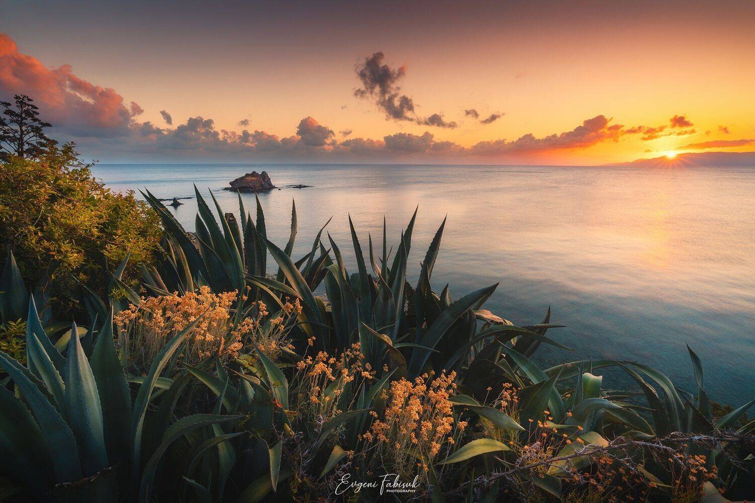 , Evgeni Fabis