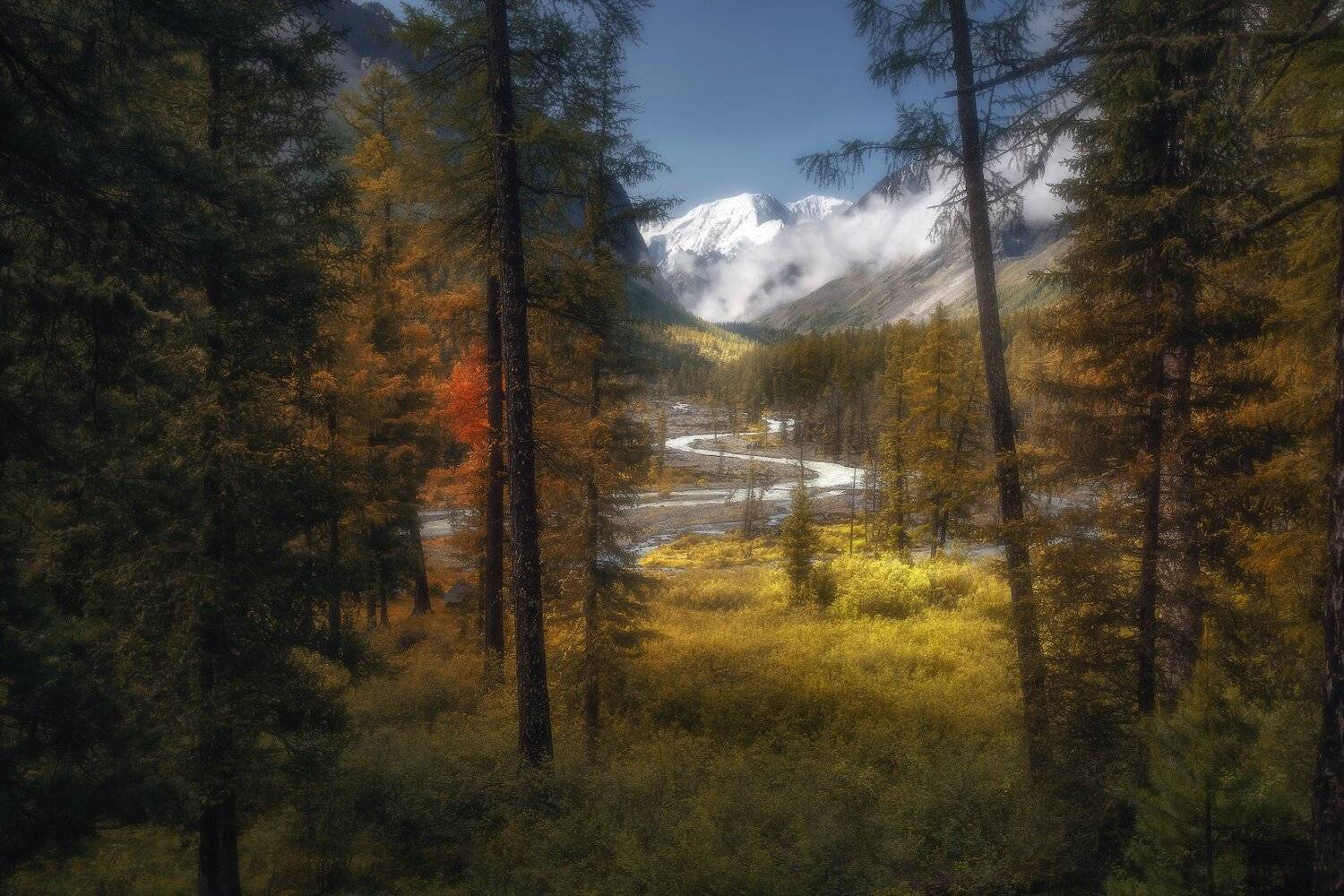 , Владимир Ляпин