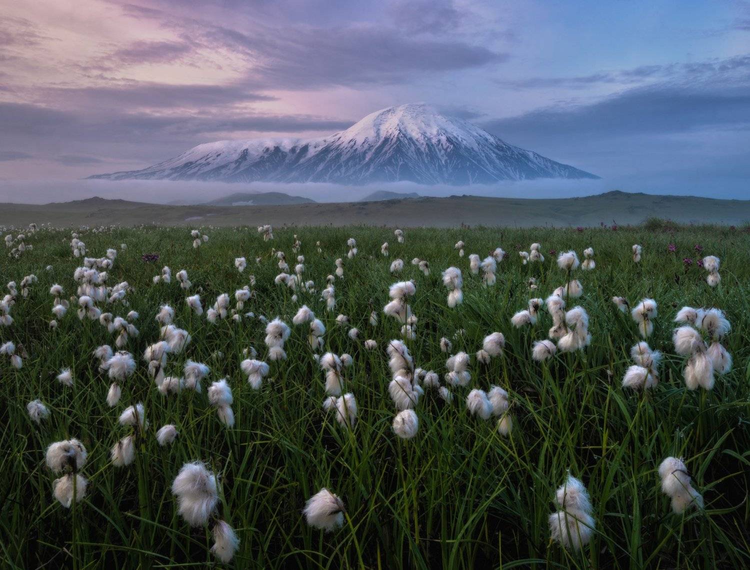камчатка, Андрей Грачев