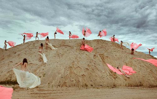 сезон бабочек