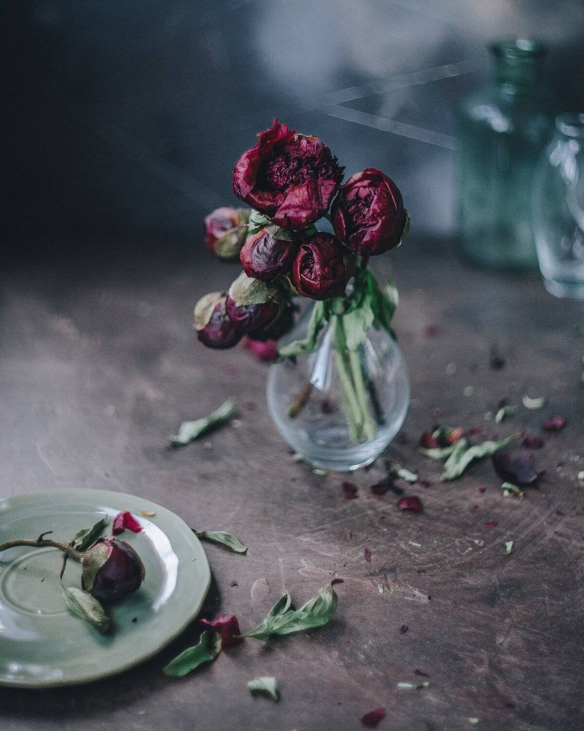 натюрморт, пионы, свет, Анастасия Зубкова