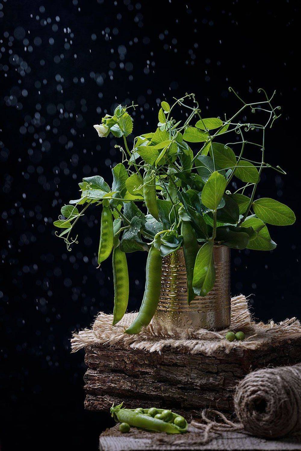 горошк, зеленый, натюрморт, рустик, черный фон, предметная съемка, ЯR Ольга