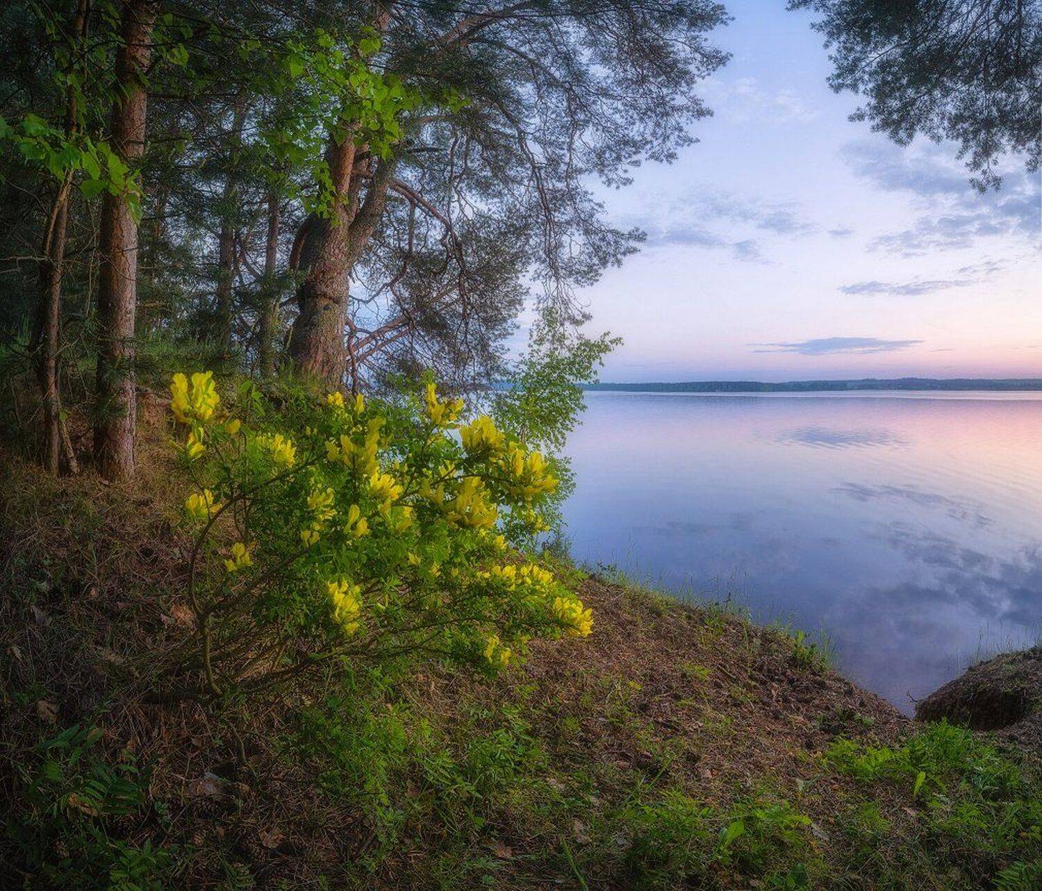 , Устюжанин Михаил