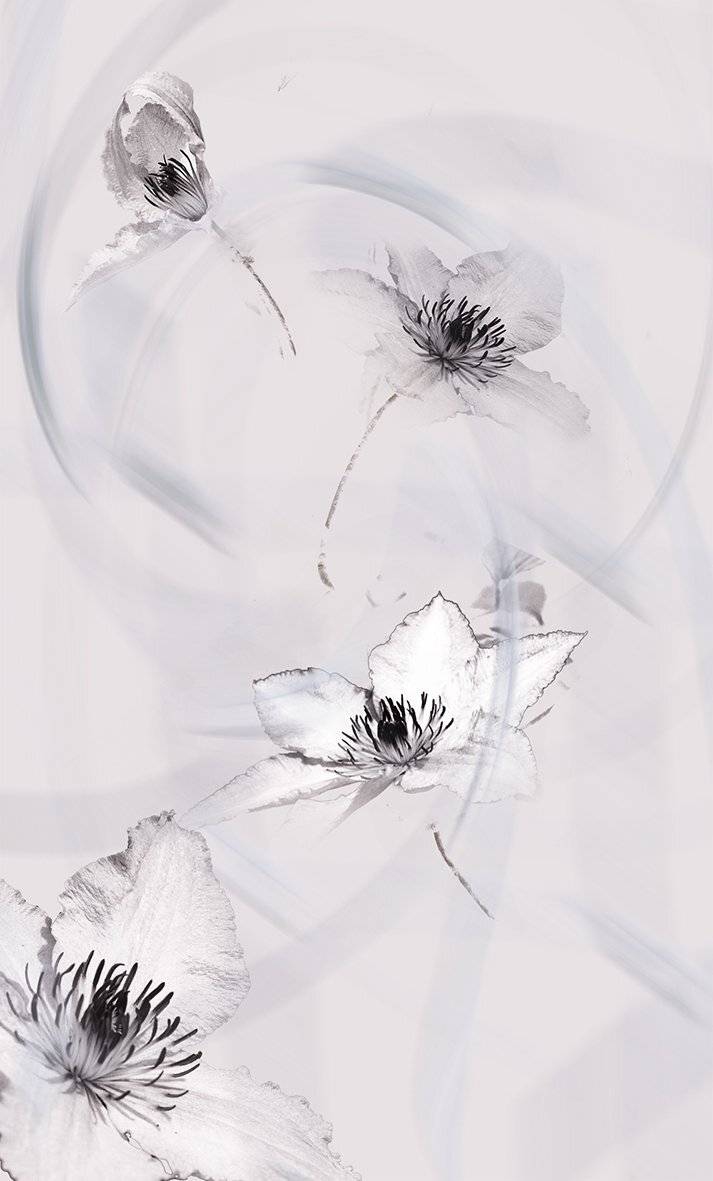 , T. Bondarenko