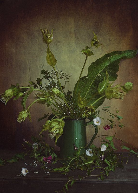 С улиткой фото превью