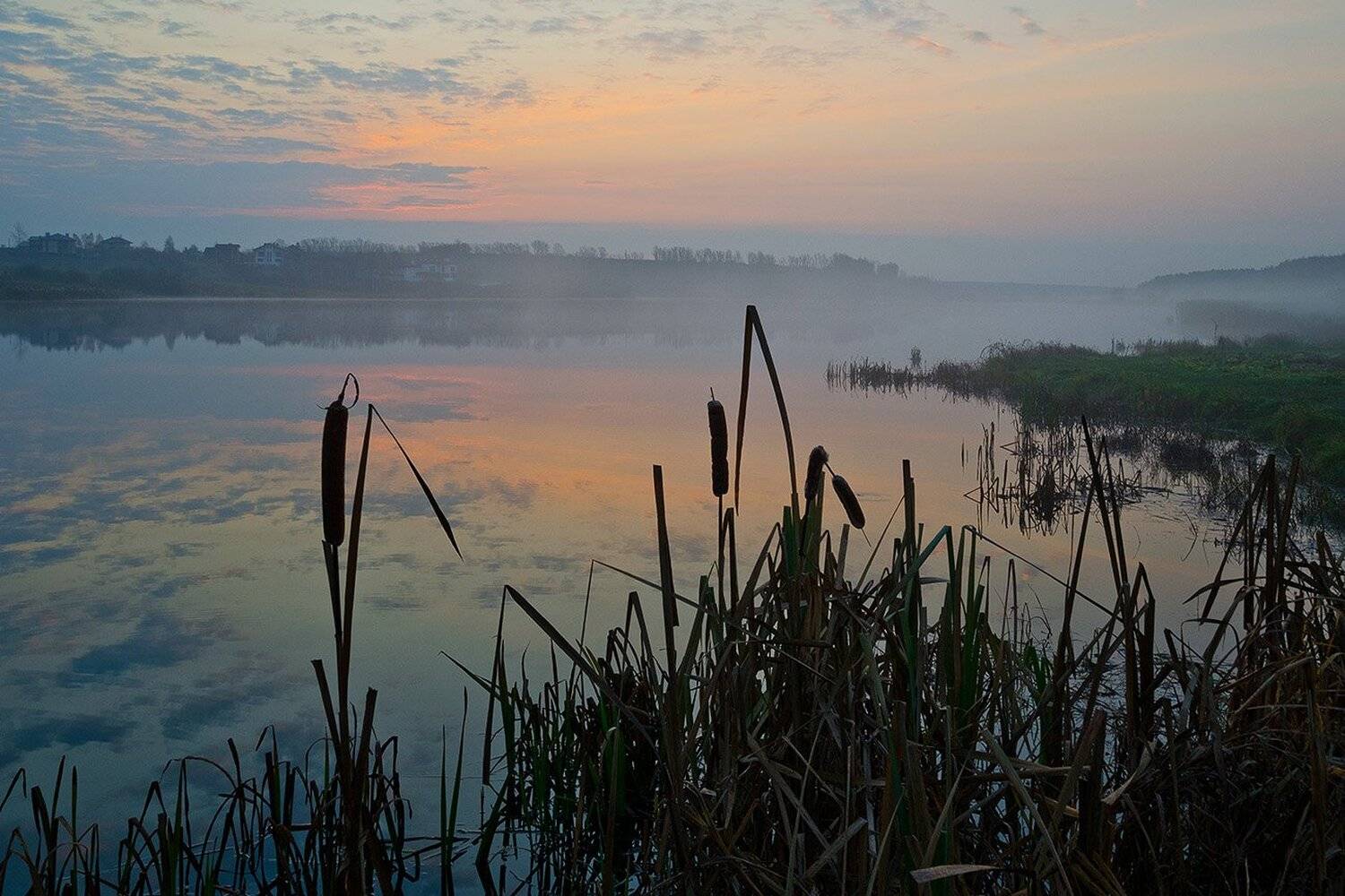утро, туман, архангельское, Михаил Агеев
