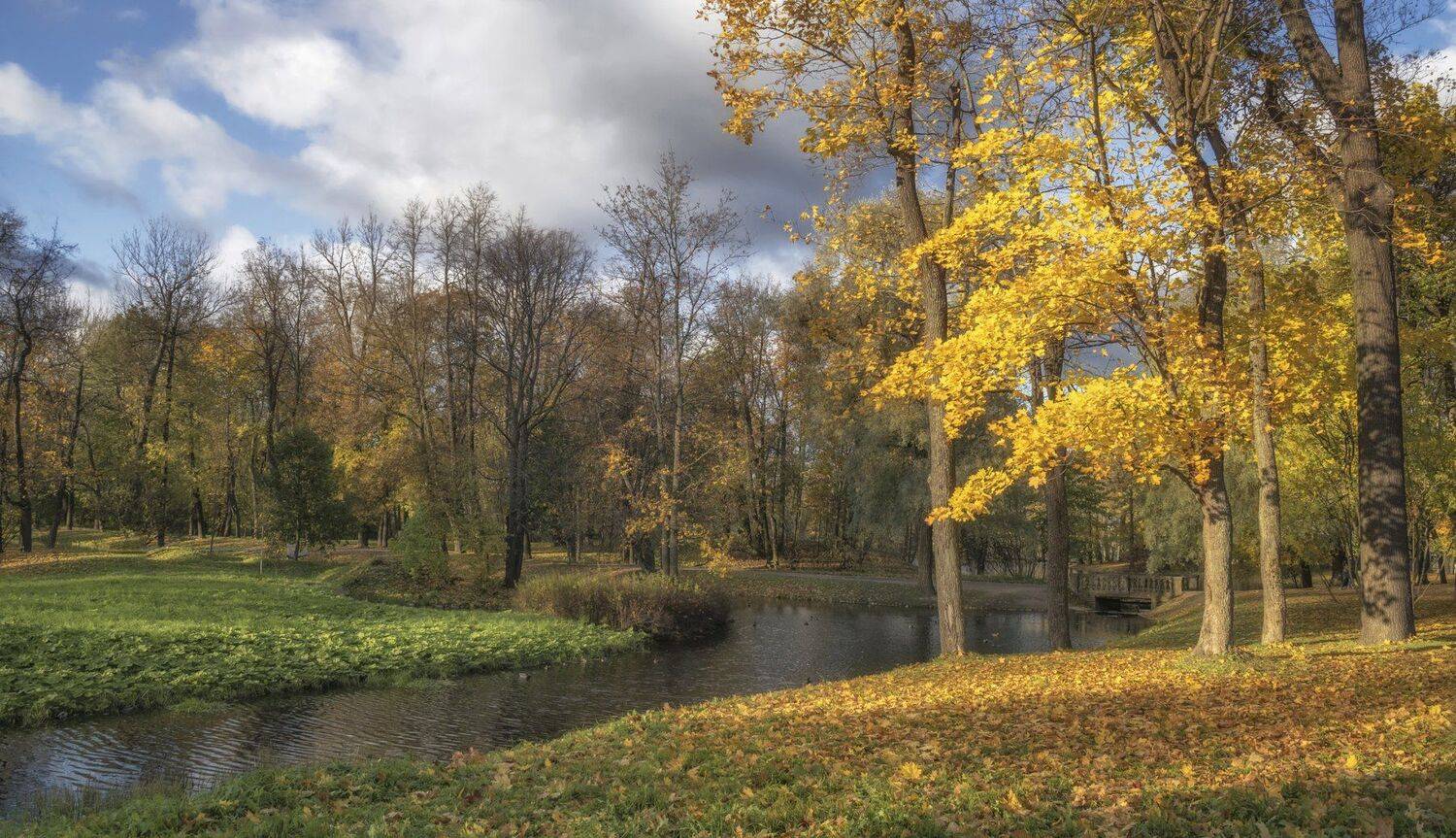 царское село, октябрь, Андрей Колесов