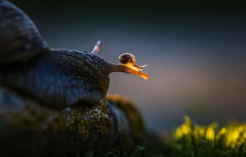 Малышке можно все фото превью