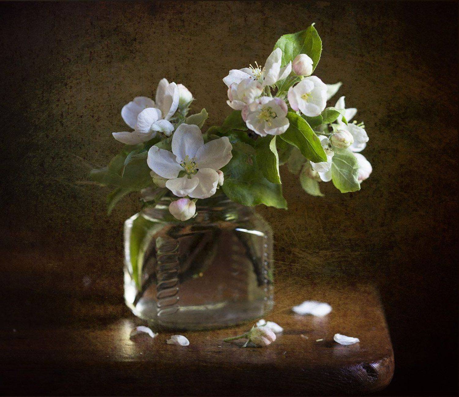 , Марина Кулакова