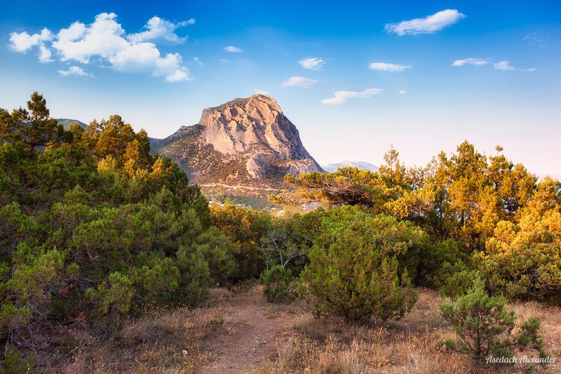 Новый Свет фото превью