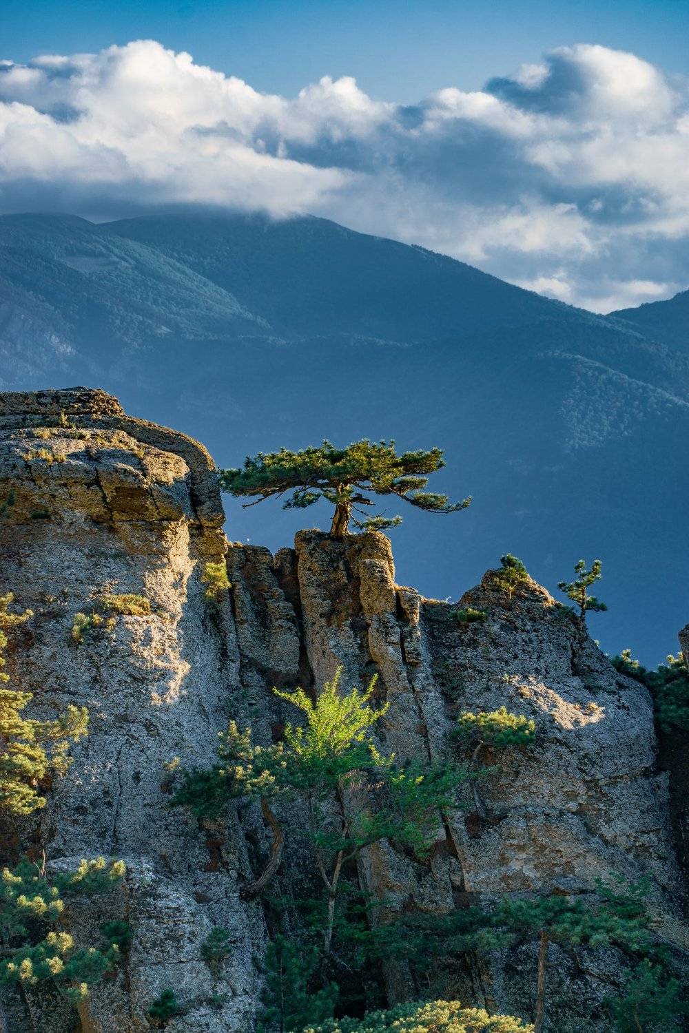 , Андрей Кривцов