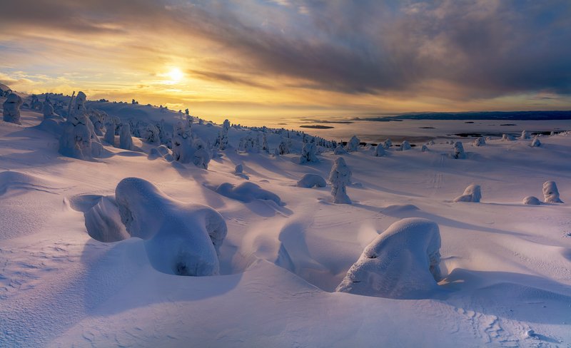 Северное утро фото превью