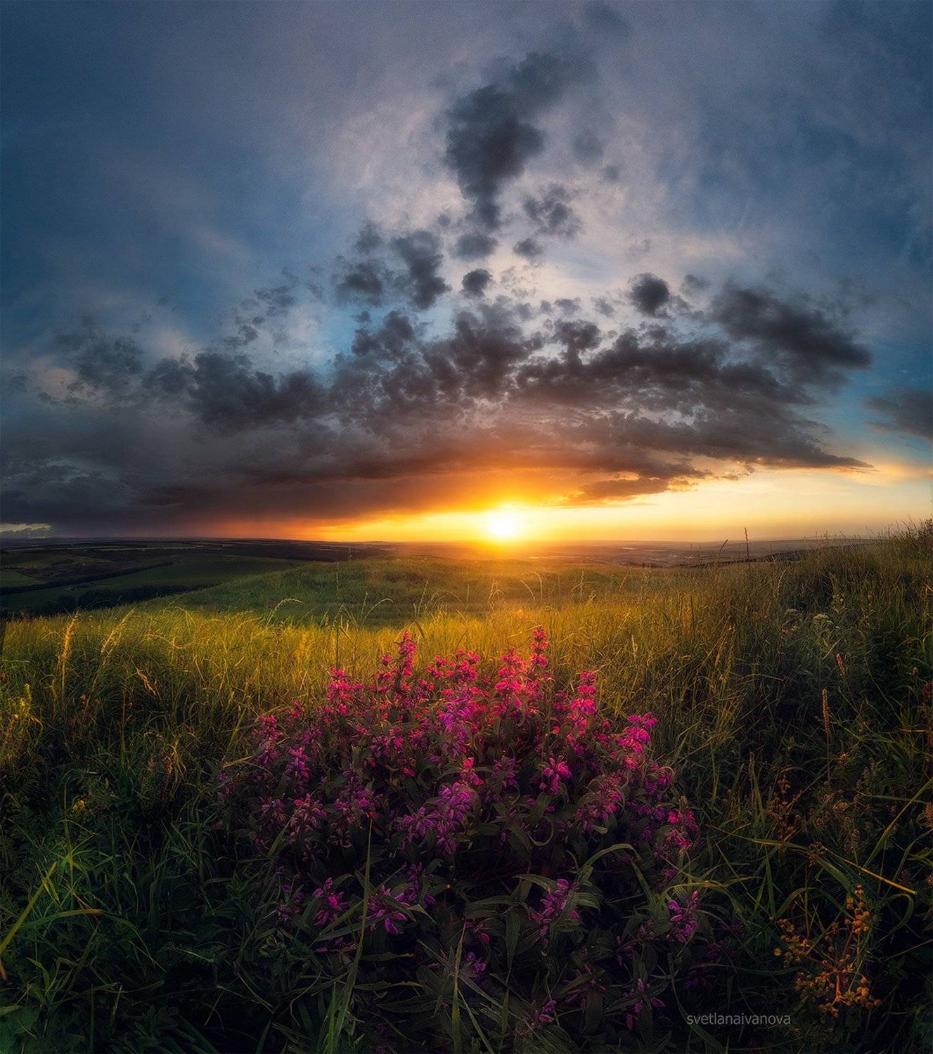 , Светлана Иванова