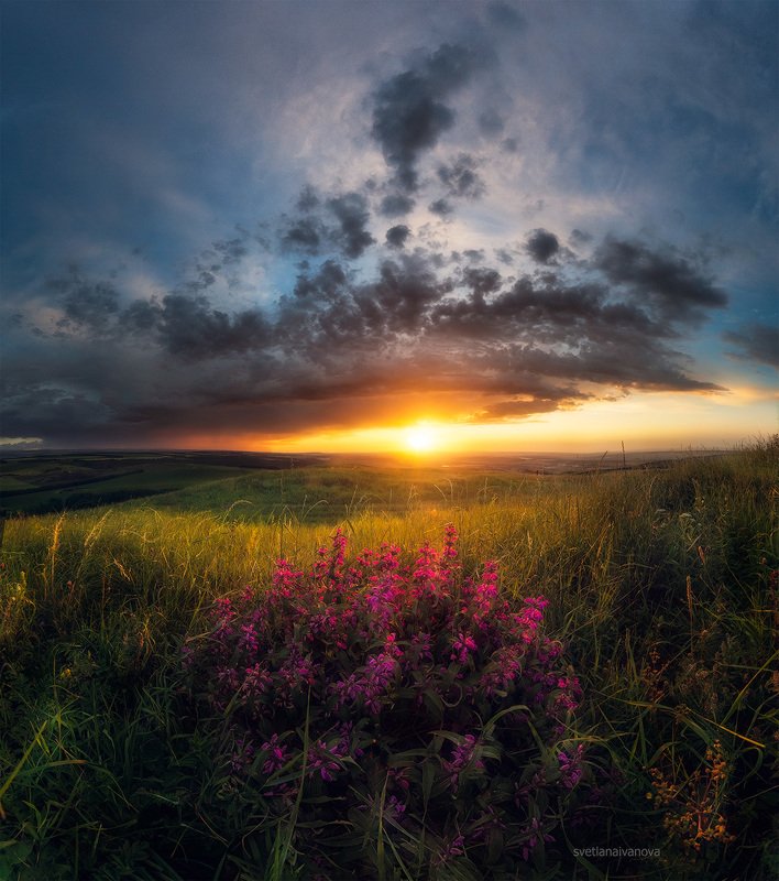 Распустилось лето... фото превью