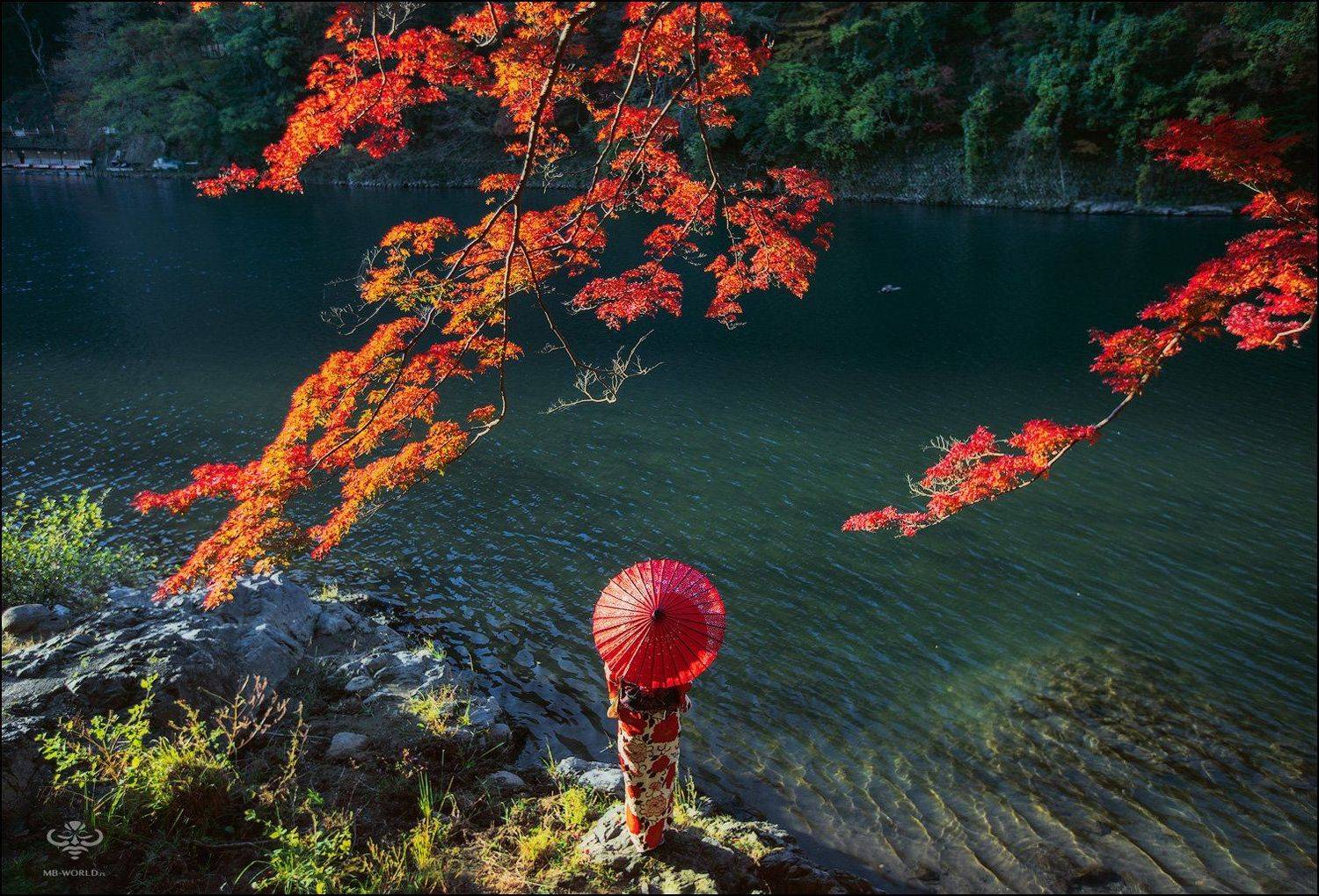 Япония, момидзи, Mikhail Vorobyev