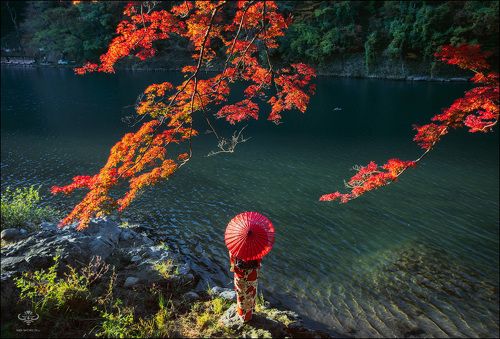 Момидзи — сезон красных листьев в Японии
