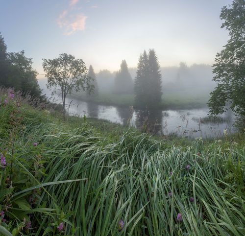 Июльским утром в полдень лета.