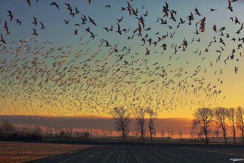 Про свет и тень..