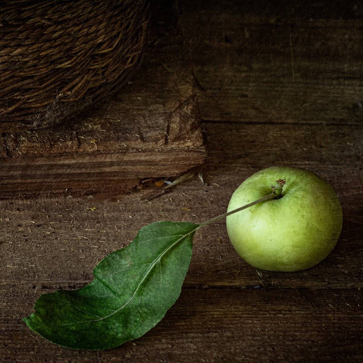 , Татьяна Аверина