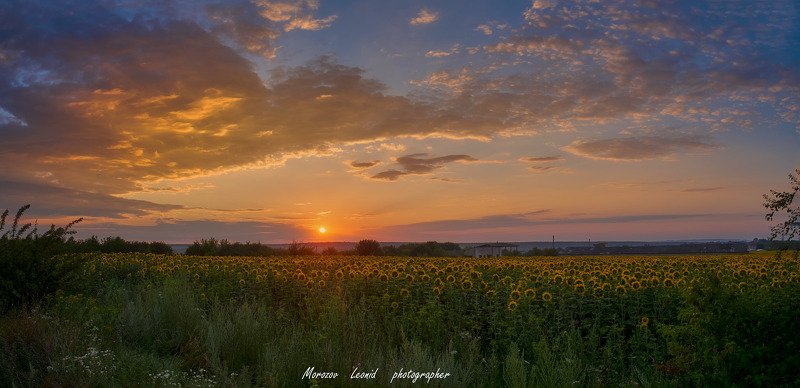 #nature, #туман, #лес, #oсень, #украина, #карпаты, #пейзаж, #закат, #туман, #солнце, #свет, #mountain range, #mountains, #туризм, #лес, #nature, #природа, *** фото превью