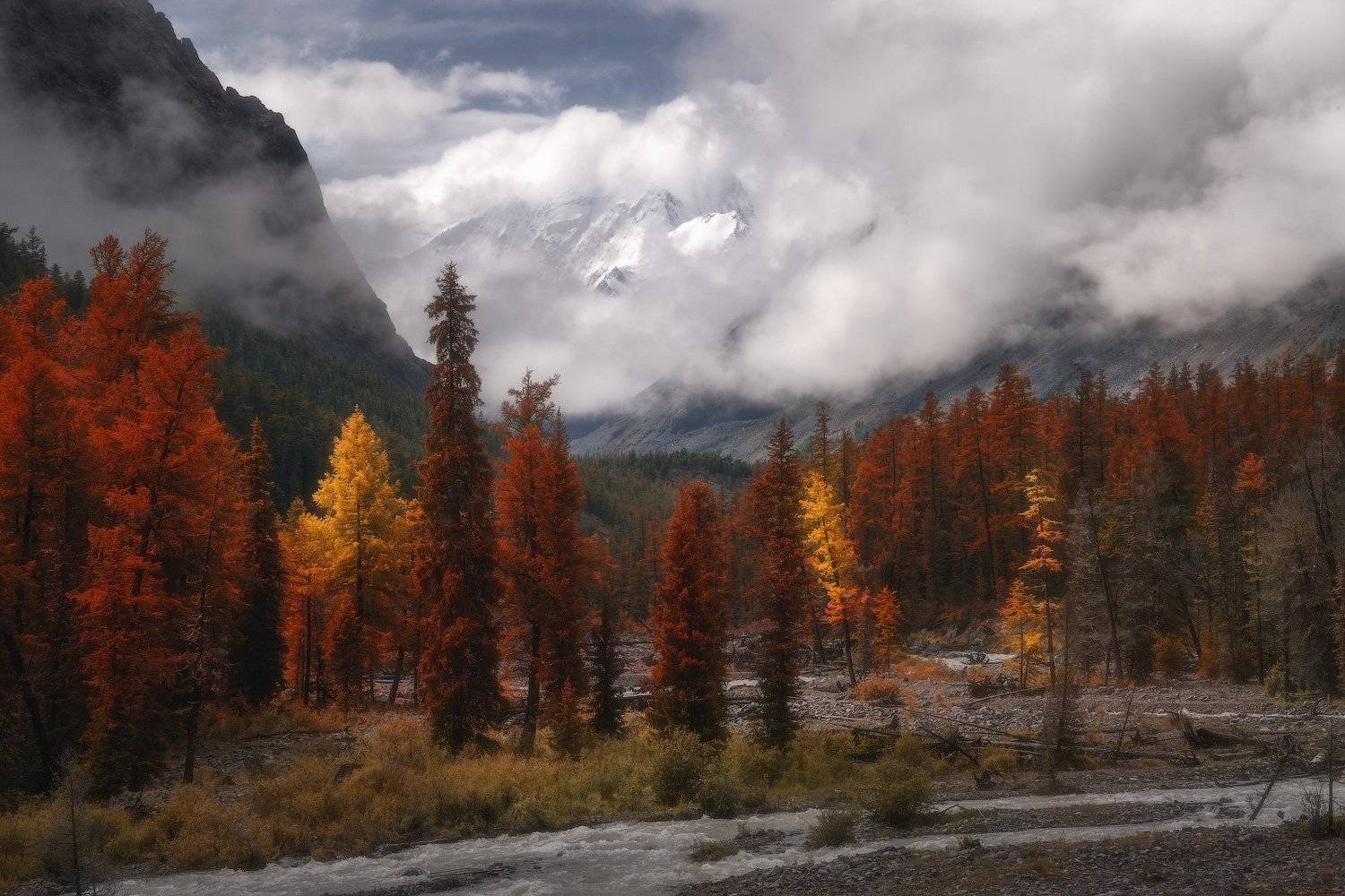 алтай, горы, Владимир Ляпин
