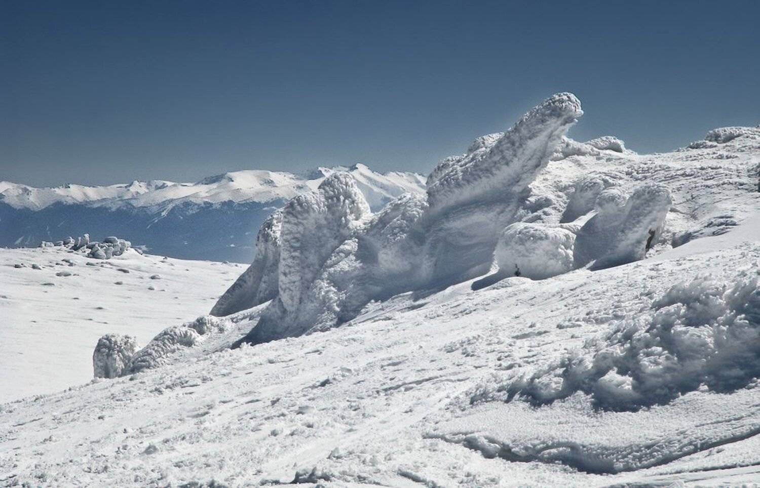 , Ирина Костова