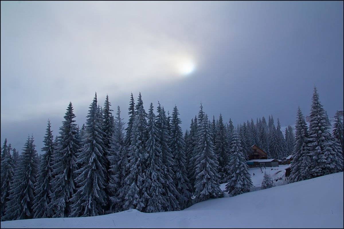 , Елена Кошель