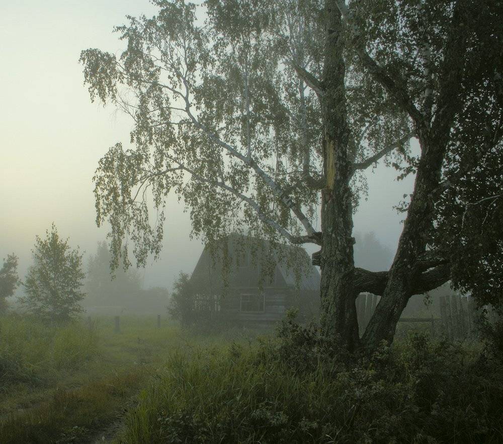 , Николай Морский