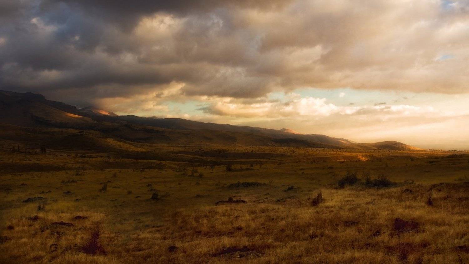 , Гамидов Мурад