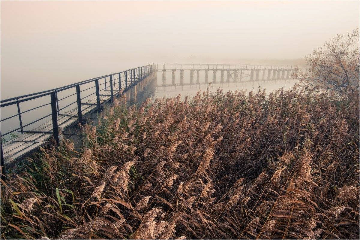 , Кутыгин Эдуард