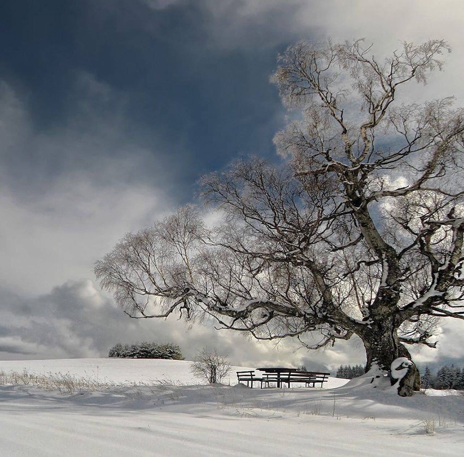 , Ирина Костова