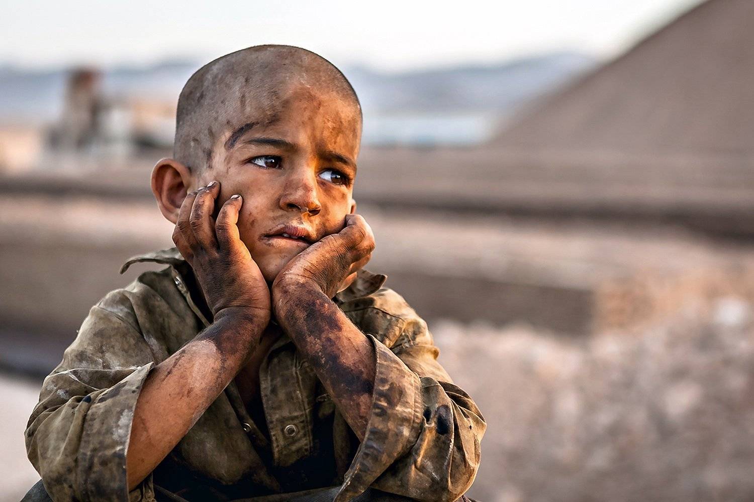 , Mohammadreza Momeni