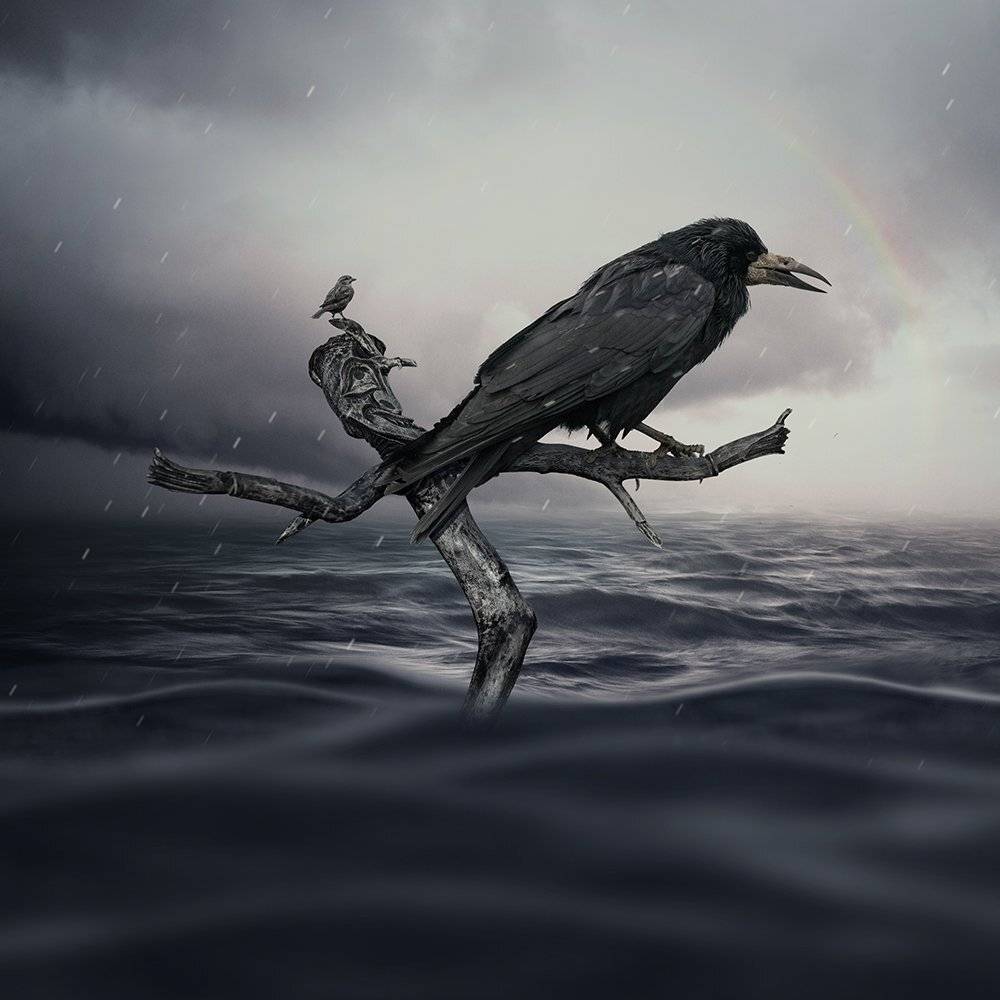 mist, fog, cold, night, dark, crow, manipulation, photoshop, psd, cementary, tutorials, water, ocean, raimbow, bird, storm, calm, Caras Ionut