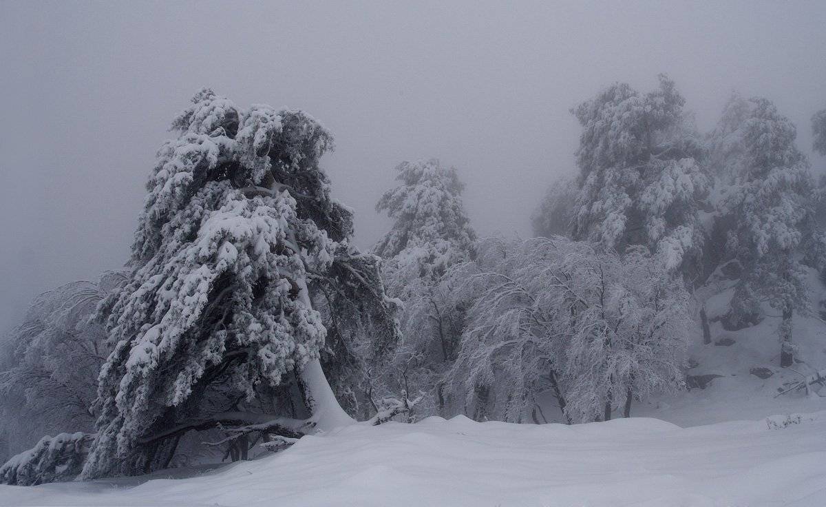 , Виталий Ра