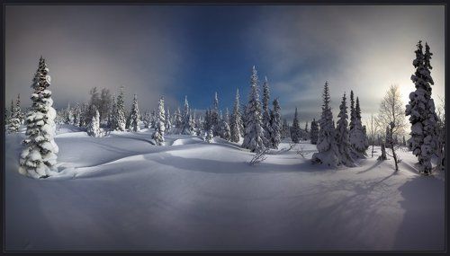 Ложились мягко тени на белом холодном снегу