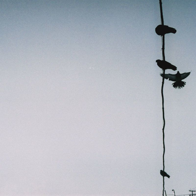 ... фото превью