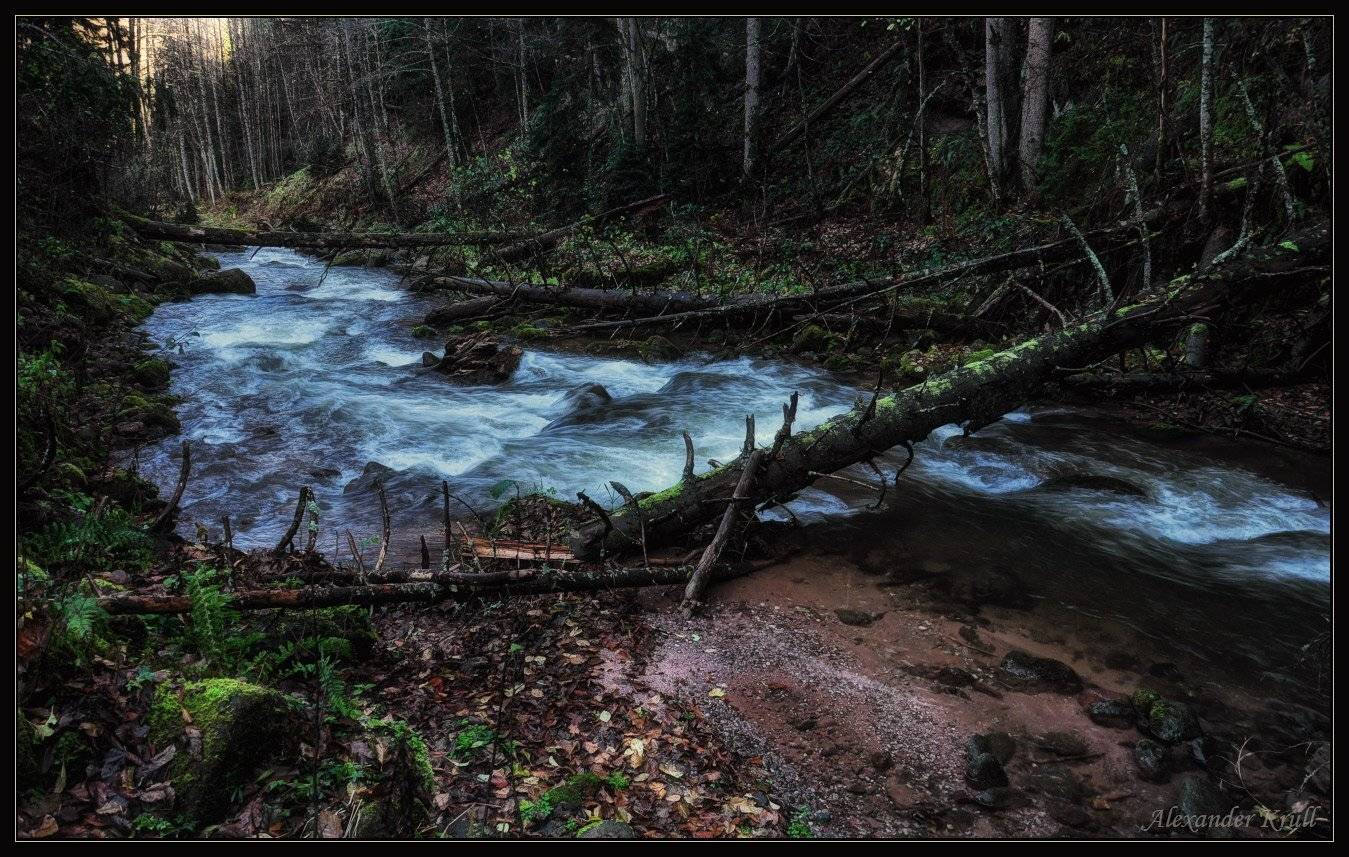 кчр, шантацара, лес, Александр Круль